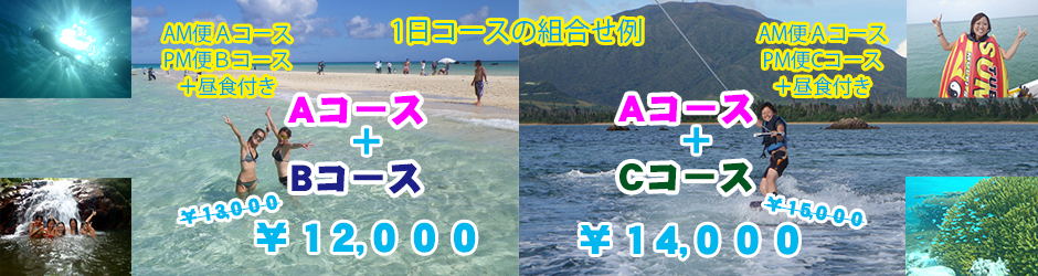 １日コース